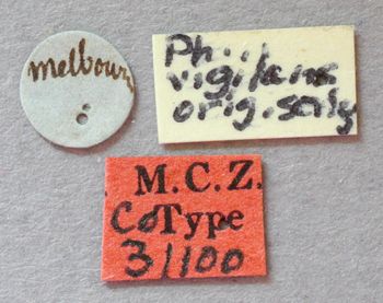 Media type: image;   Entomology 31100 Aspect: labels